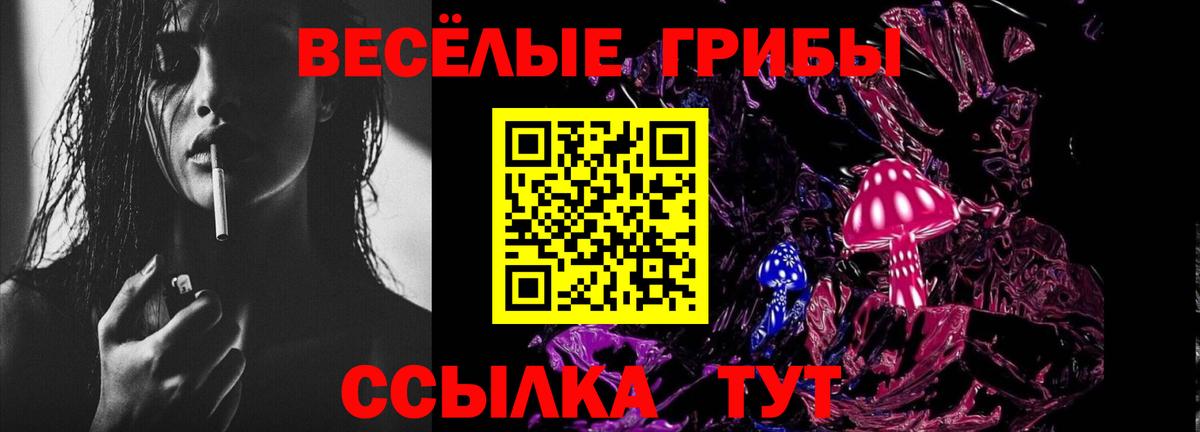 Спасск-Дальний  Галлюциногенные грибы ЛСД  Вход с VPN 
