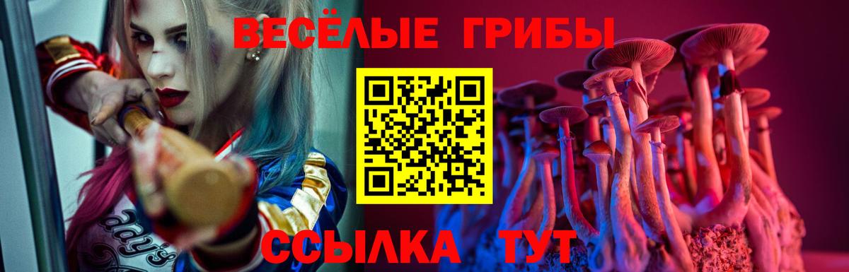 Псилоцибиновые грибы прущие грибы Спасск-Дальний